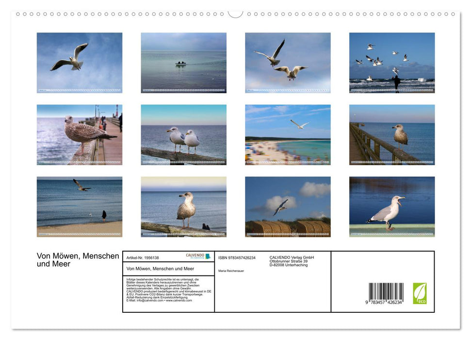 Von Möwen, Menschen und Meer (CALVENDO Premium Wandkalender 2026)