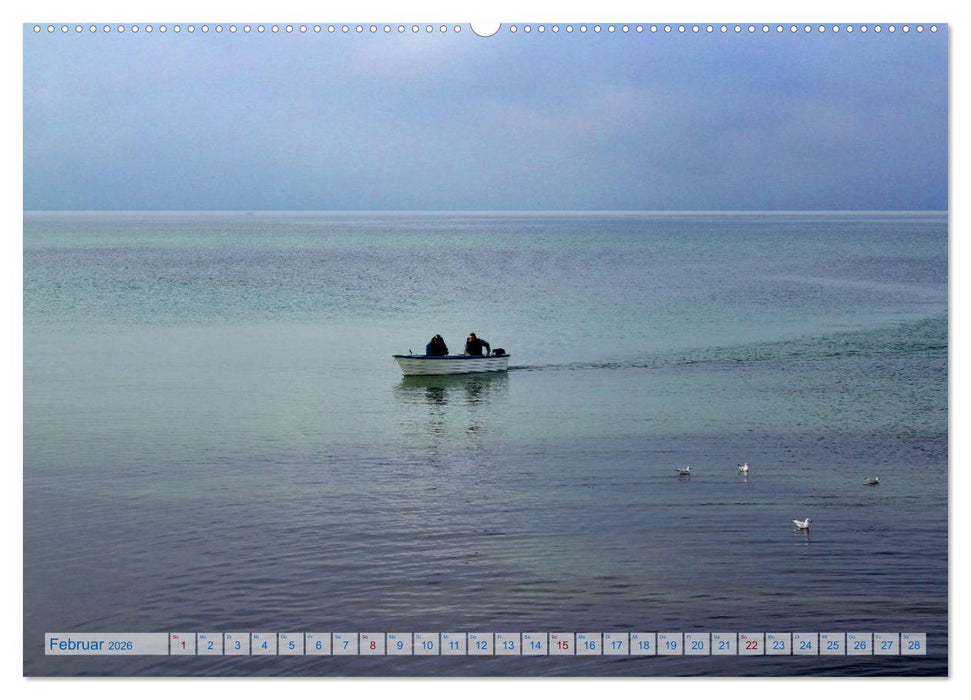 Von Möwen, Menschen und Meer (CALVENDO Premium Wandkalender 2026)