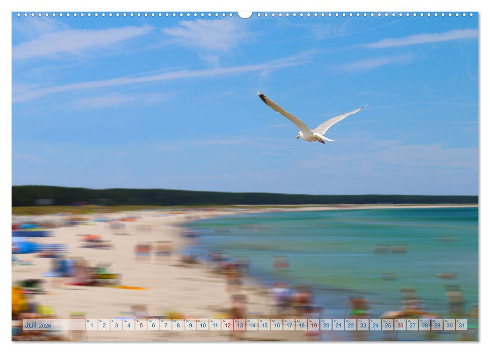 Von Möwen, Menschen und Meer (CALVENDO Premium Wandkalender 2026)