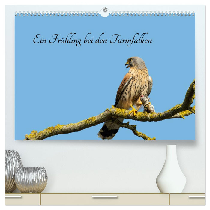 Ein Frühjahr bei den Turmfalken (CALVENDO Premium Wandkalender 2026)