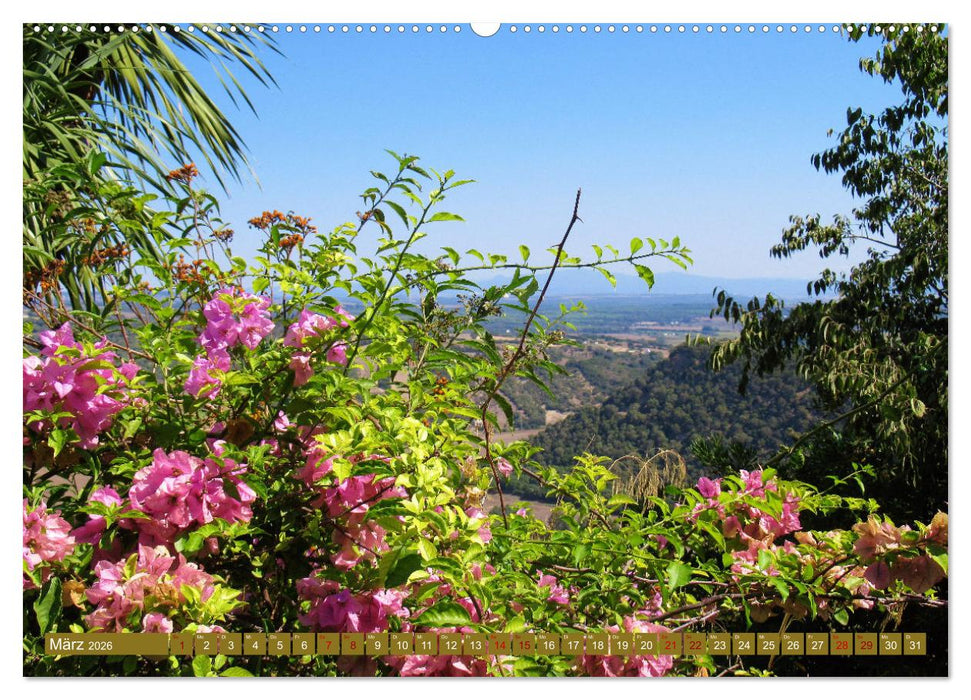 In den Subtropen (CALVENDO Premium Wandkalender 2026)