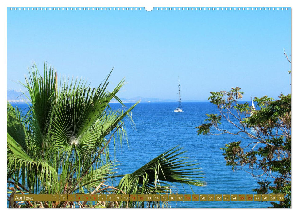 In den Subtropen (CALVENDO Premium Wandkalender 2026)