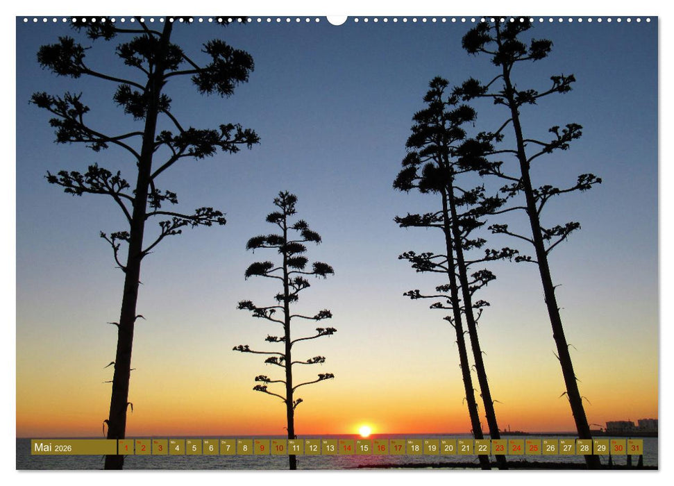 In den Subtropen (CALVENDO Premium Wandkalender 2026)