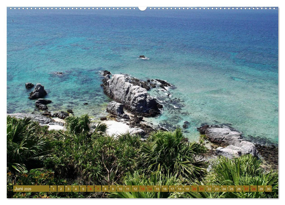 In den Subtropen (CALVENDO Premium Wandkalender 2026)