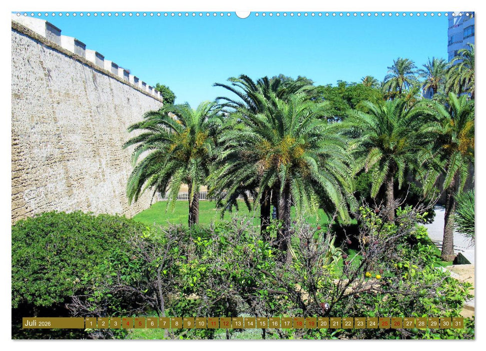 In den Subtropen (CALVENDO Premium Wandkalender 2026)