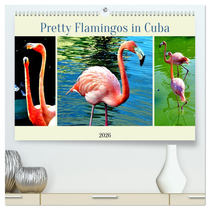 Pretty Flamingos in Cuba (CALVENDO Premium Wandkalender 2026)