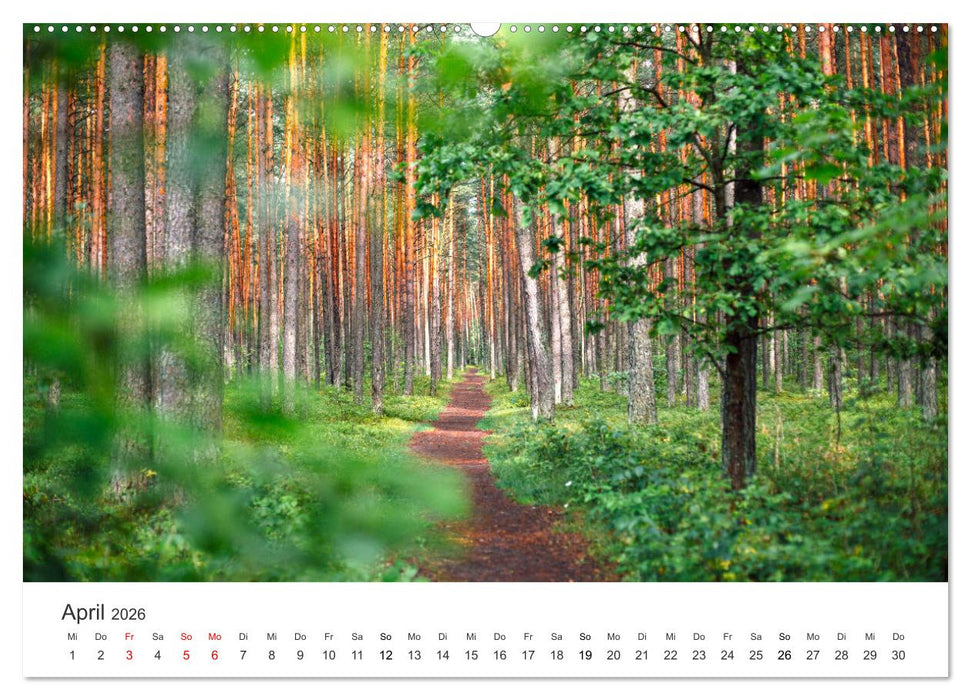 Weisheit - Der Weg ist das Ziel (CALVENDO Premium Wandkalender 2026)