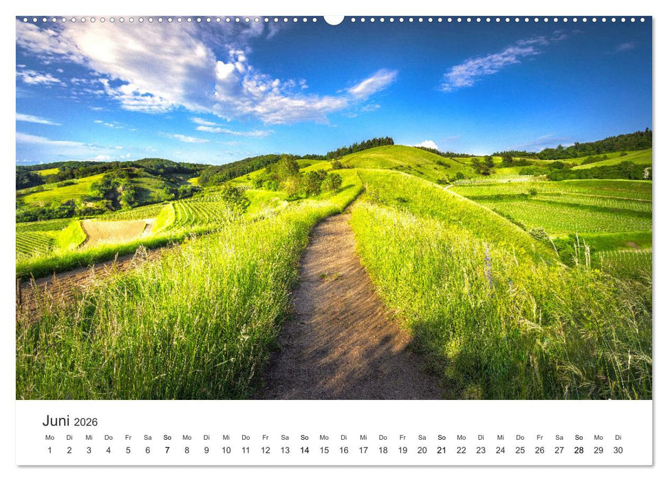 Weisheit - Der Weg ist das Ziel (CALVENDO Premium Wandkalender 2026)