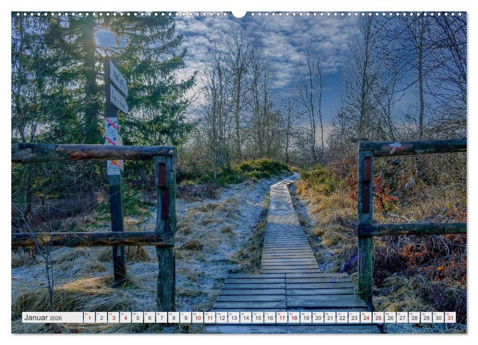 Traumlandschaft Hohes Venn (CALVENDO Premium Wandkalender 2026)