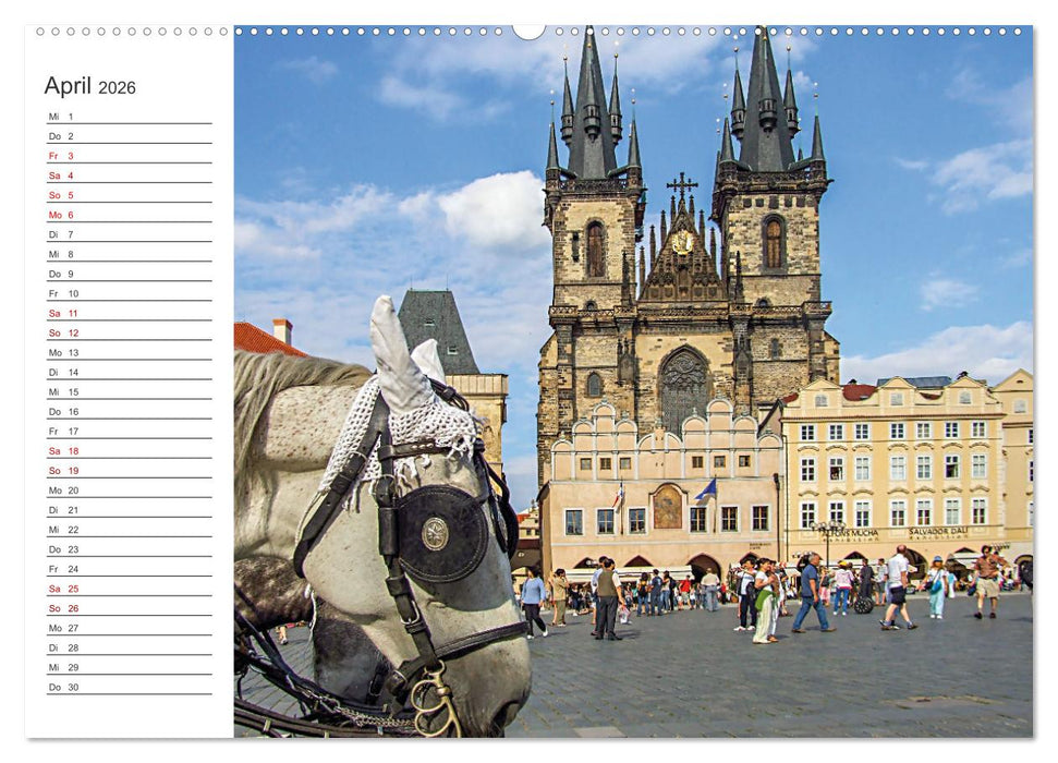 Zwölf mal Europa (CALVENDO Premium Wandkalender 2026)