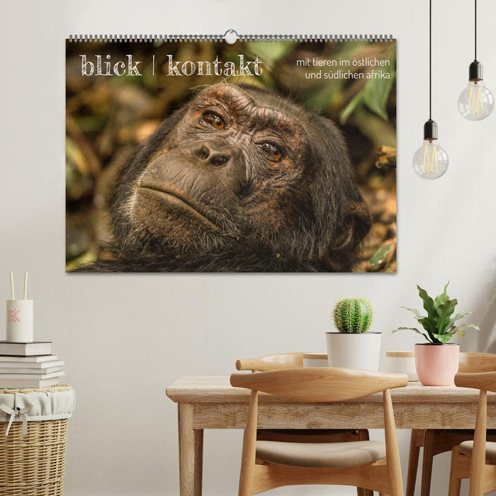 blick kontakt mit tieren im östlichen und südlichen afrika (CALVENDO Wandkalender 2026)