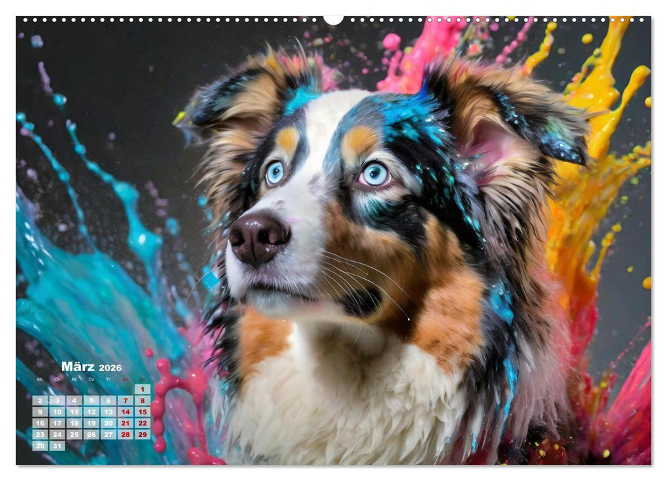 Splash - Hunde im Farbrausch (CALVENDO Premium Wandkalender 2026)