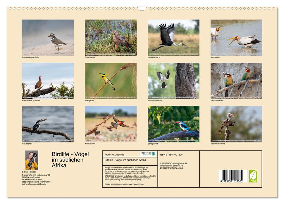 Birdlife - Vögel im südlichen Afrika (CALVENDO Premium Wandkalender 2026)