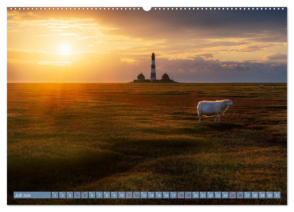 Stimmungsvolle Küstenmomente (CALVENDO Premium Wandkalender 2026)