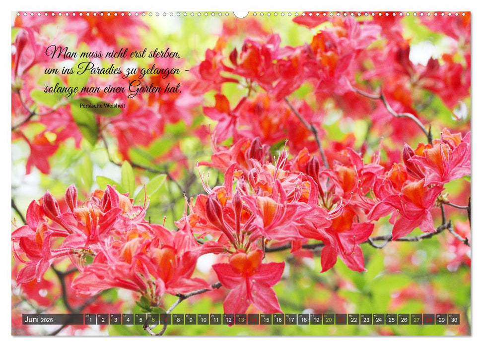 Rhododendren und Poesie (CALVENDO Premium Wandkalender 2026)