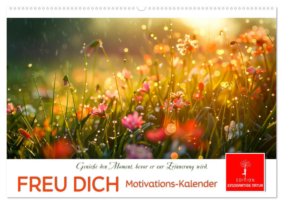 Freu Dich Motivations-Kalender (CALVENDO Wandkalender 2026)