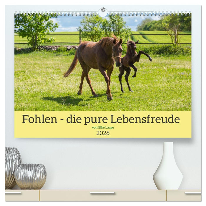 Fohlen - die pure Lebensfreude (CALVENDO Premium Wandkalender 2026)