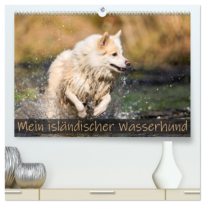 Mein isländischer Wasserhund (CALVENDO Premium Wandkalender 2026)
