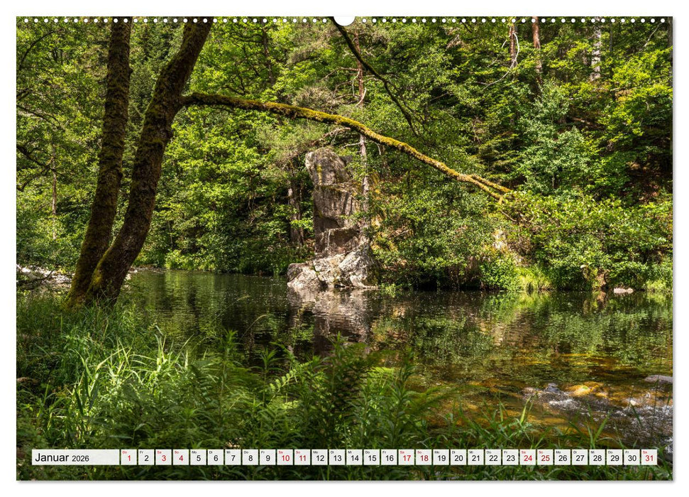 Schwarzwald - Das Murgtal (CALVENDO Premium Wandkalender 2026)
