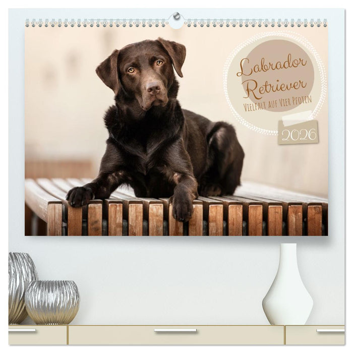 Labrador Retriever - Vielfalt auf Vier Pfoten (CALVENDO Premium Wandkalender 2026)