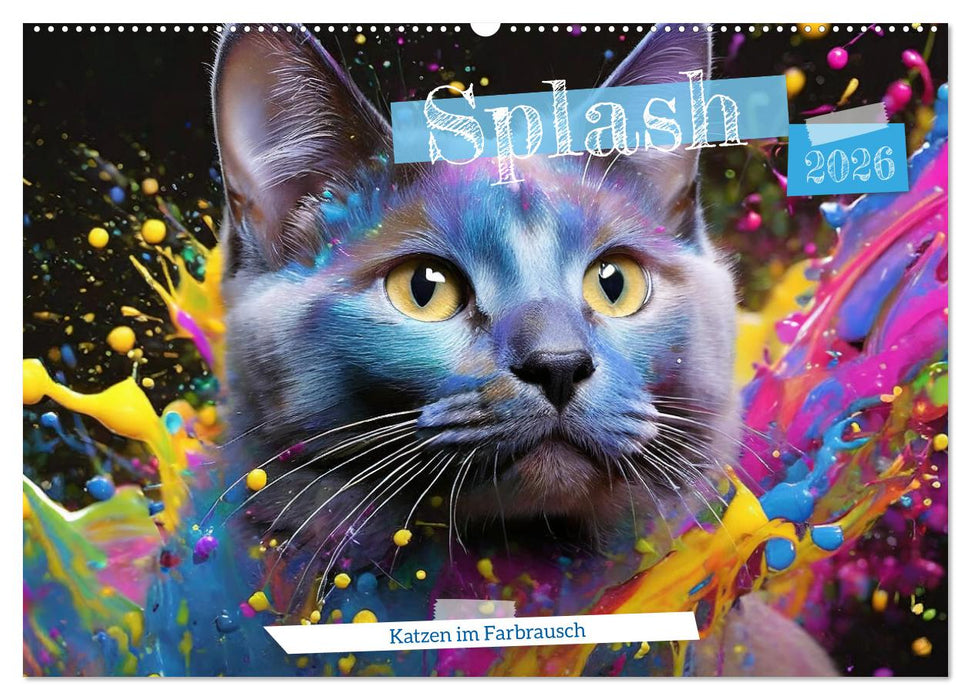 Splash - Katzen im Farbrausch (CALVENDO Wandkalender 2026)