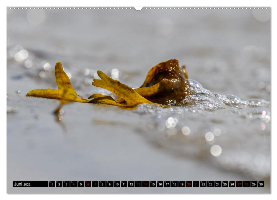 Strandobjekte (CALVENDO Premium Wandkalender 2026)