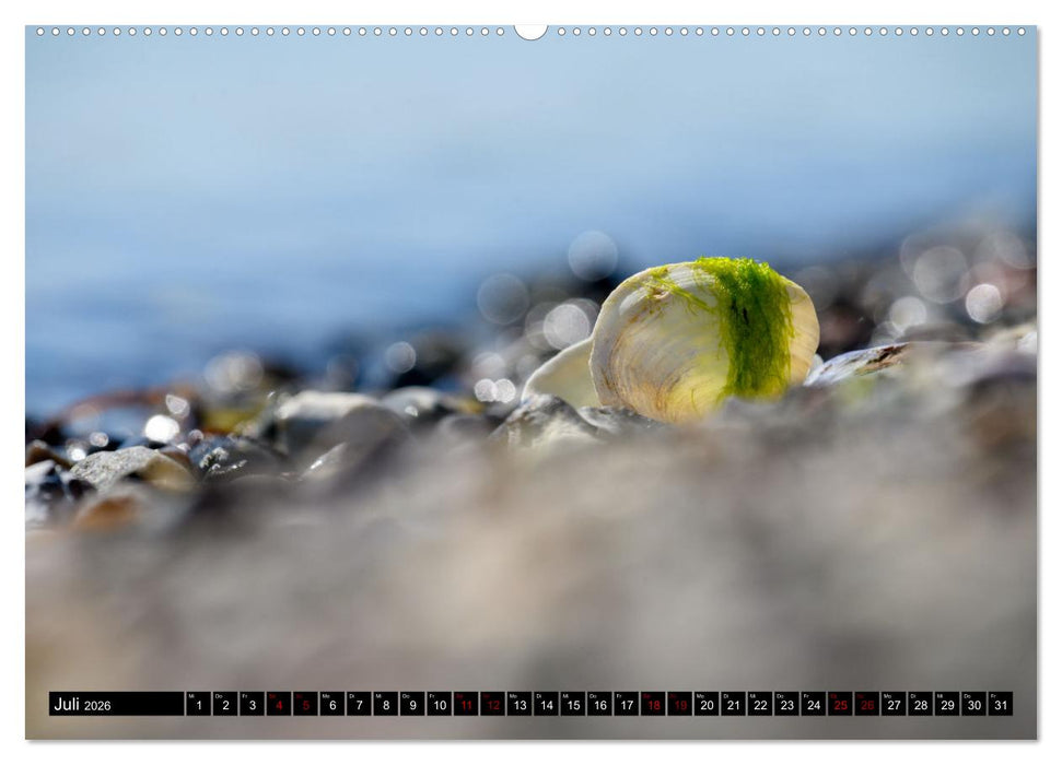 Strandobjekte (CALVENDO Premium Wandkalender 2026)