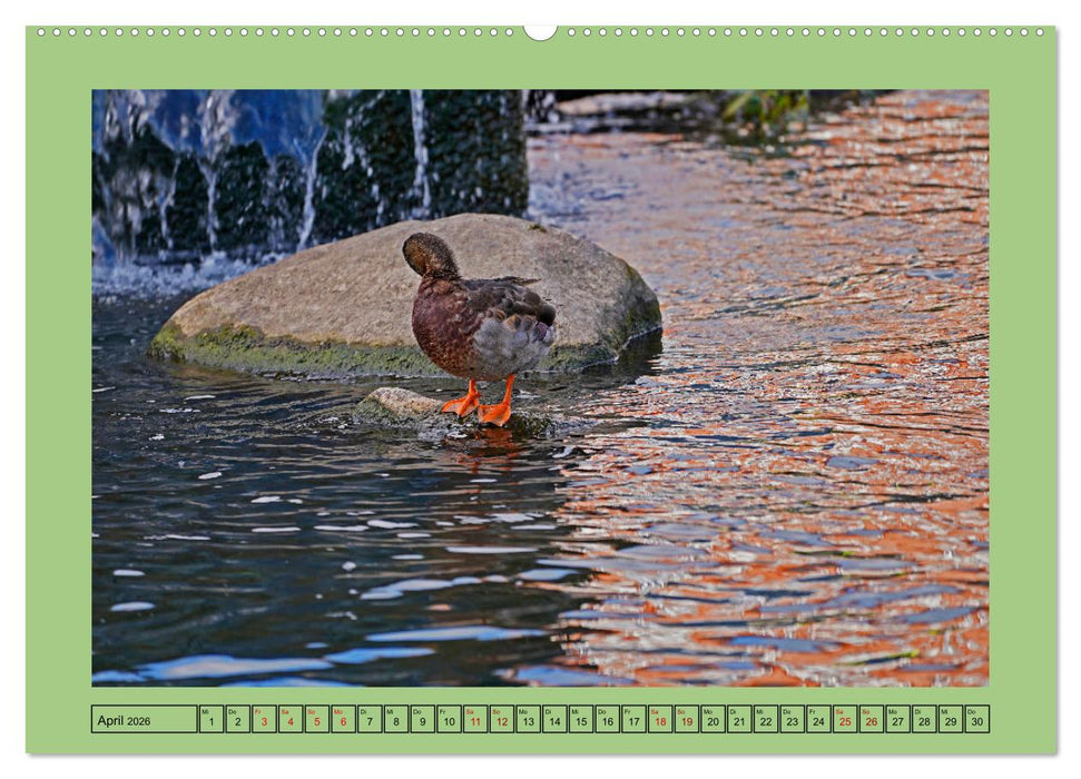 Faszination Stadtpark Odense (CALVENDO Premium Wandkalender 2026)