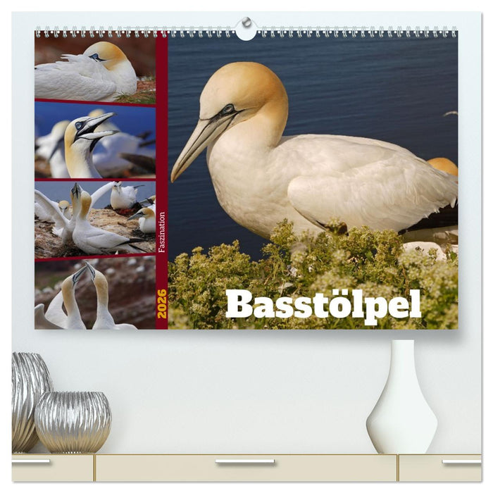 Faszination Basstölpel (CALVENDO Premium Wandkalender 2026)
