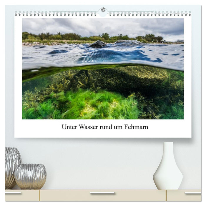 Unter Wasser rund um Fehmarn (CALVENDO Premium Wandkalender 2026)