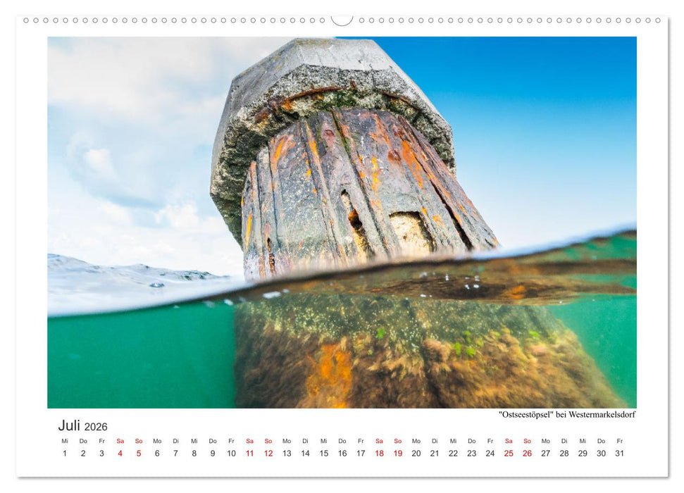 Unter Wasser rund um Fehmarn (CALVENDO Premium Wandkalender 2026)