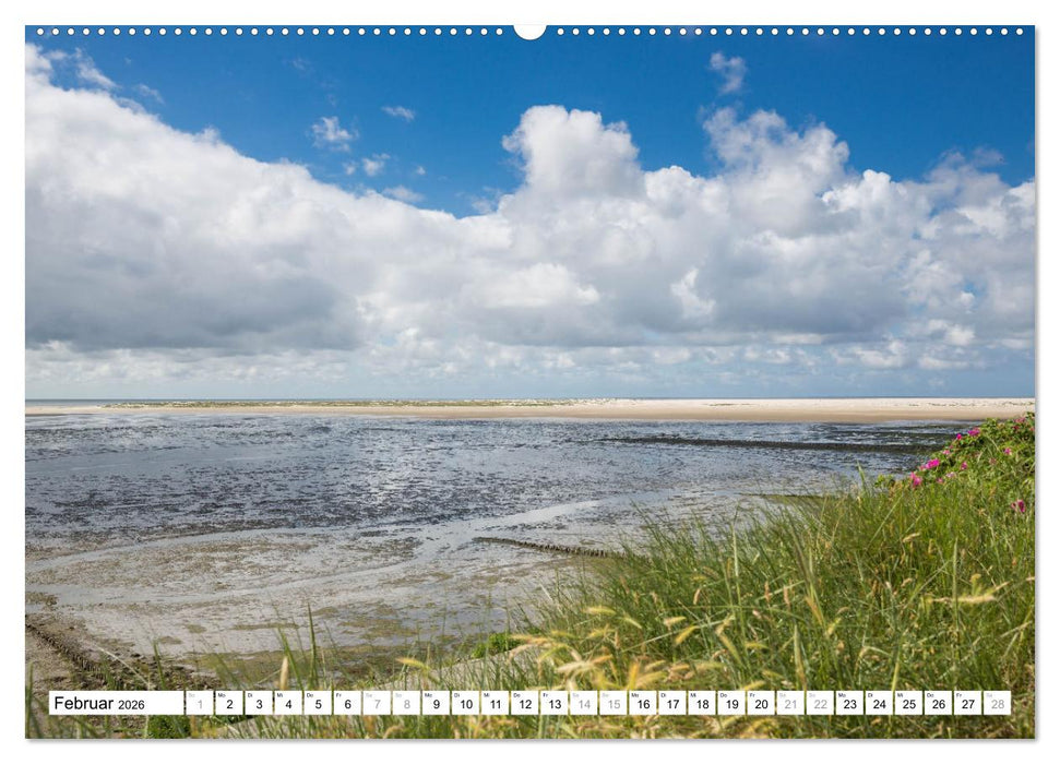 Amrum - Perle im nordfriesischen Wattenmeer (CALVENDO Premium Wandkalender 2026)