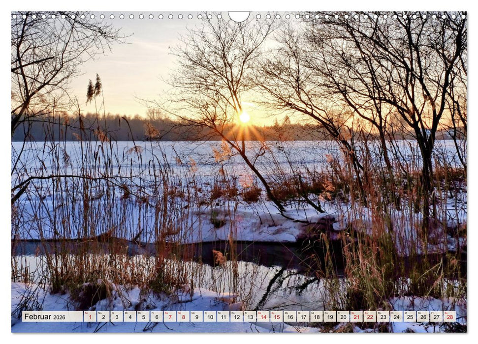 Impressionen Augsburger Stadtwald (CALVENDO Wandkalender 2026)