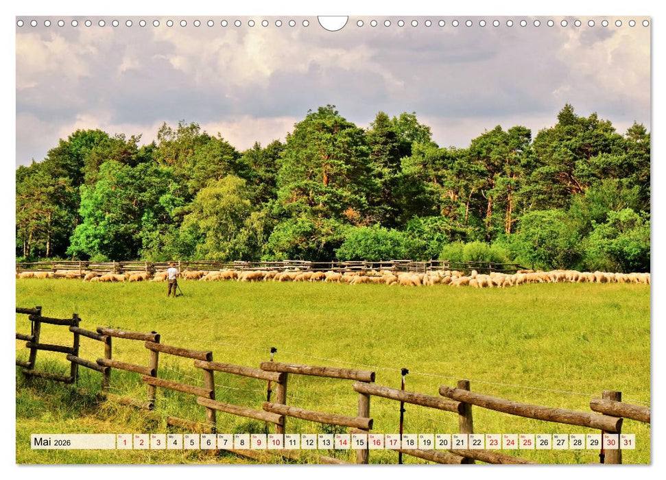 Impressionen Augsburger Stadtwald (CALVENDO Wandkalender 2026)