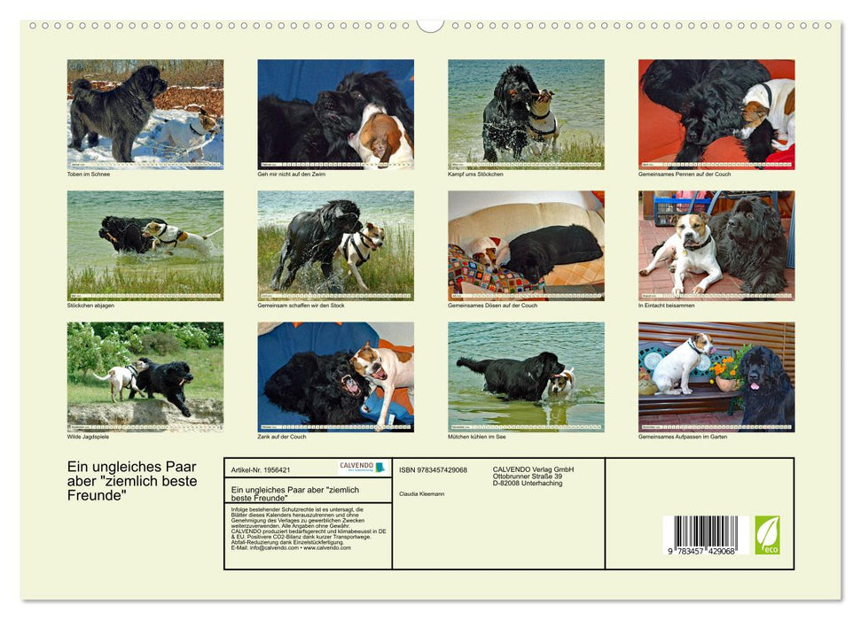 Ein ungleiches Paar aber "ziemlich beste Freunde" (CALVENDO Premium Wandkalender 2026)