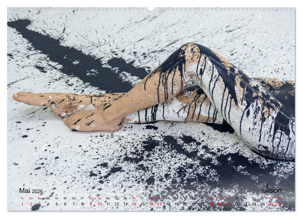 PIPPA CRASH - Farbspiele (CALVENDO Premium Wandkalender 2026)