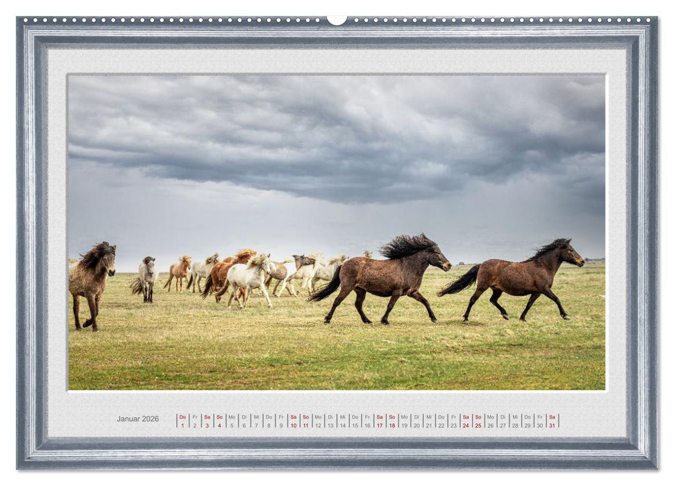 Ich bin ein Isländer (CALVENDO Premium Wandkalender 2026)