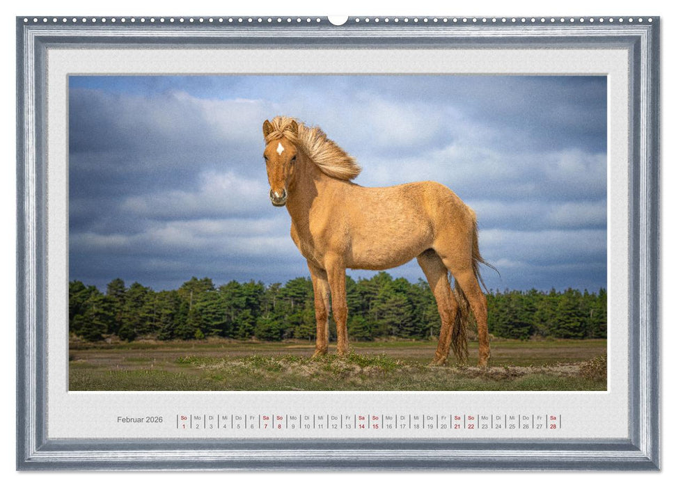 Ich bin ein Isländer (CALVENDO Premium Wandkalender 2026)