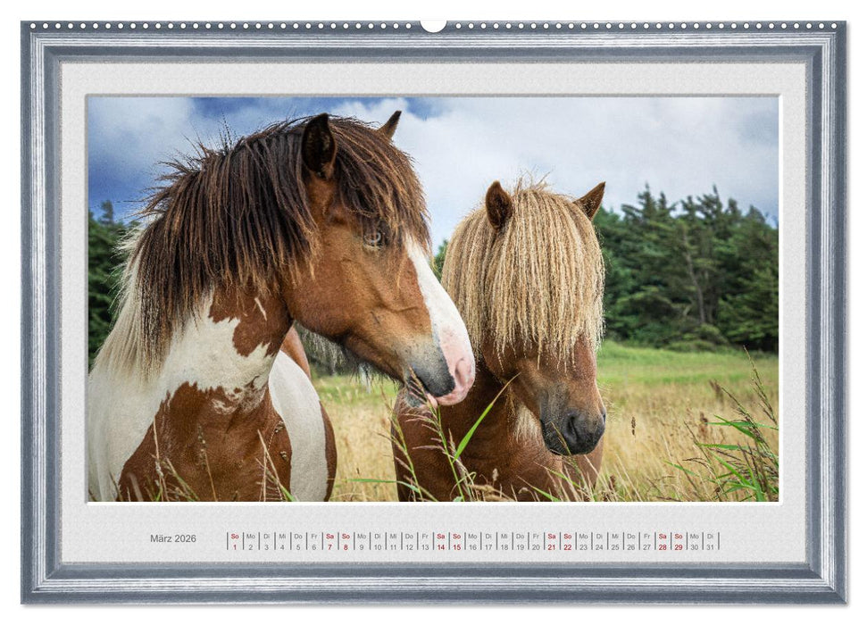 Ich bin ein Isländer (CALVENDO Premium Wandkalender 2026)