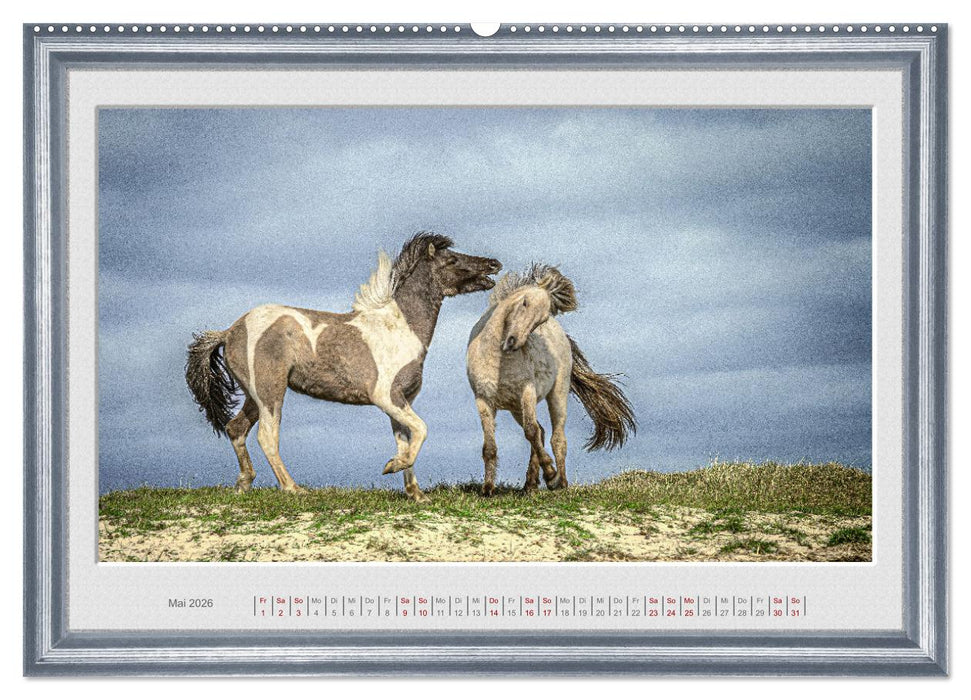 Ich bin ein Isländer (CALVENDO Premium Wandkalender 2026)