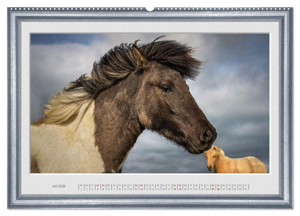 Ich bin ein Isländer (CALVENDO Premium Wandkalender 2026)