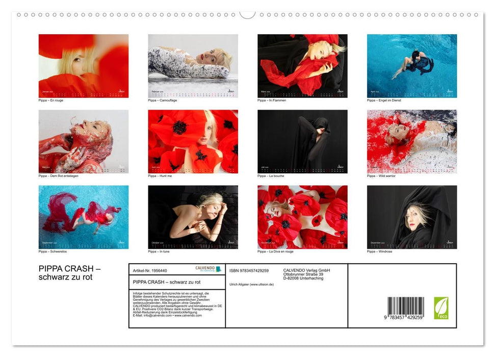 PIPPA CRASH – schwarz zu rot (CALVENDO Premium Wandkalender 2026)