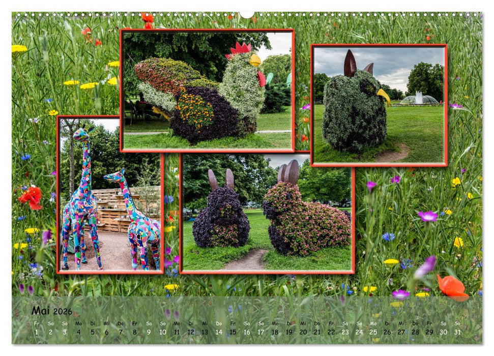 Erfurt erblüht (CALVENDO Premium Wandkalender 2026)