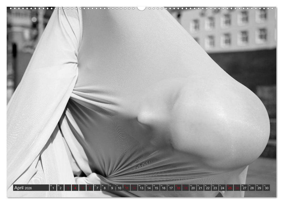 Emotionen im Tanz (CALVENDO Premium Wandkalender 2026)