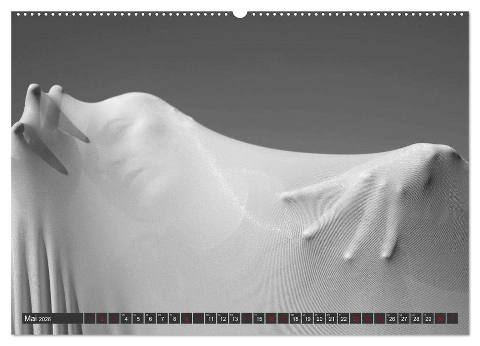 Emotionen im Tanz (CALVENDO Premium Wandkalender 2026)