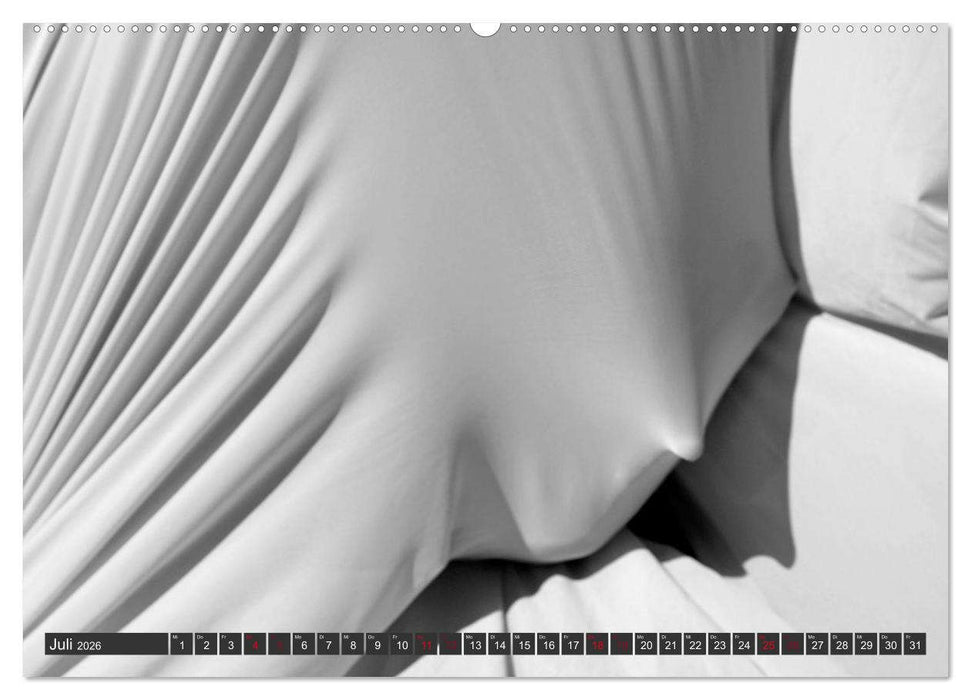 Emotionen im Tanz (CALVENDO Premium Wandkalender 2026)