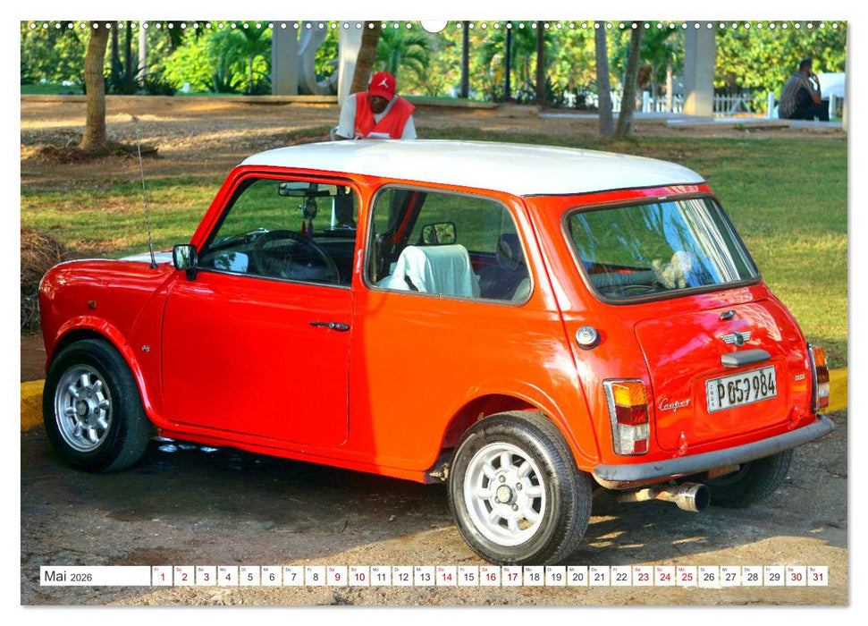 British Beauties - Der MINI 1000 in Kuba (CALVENDO Premium Wandkalender 2026)