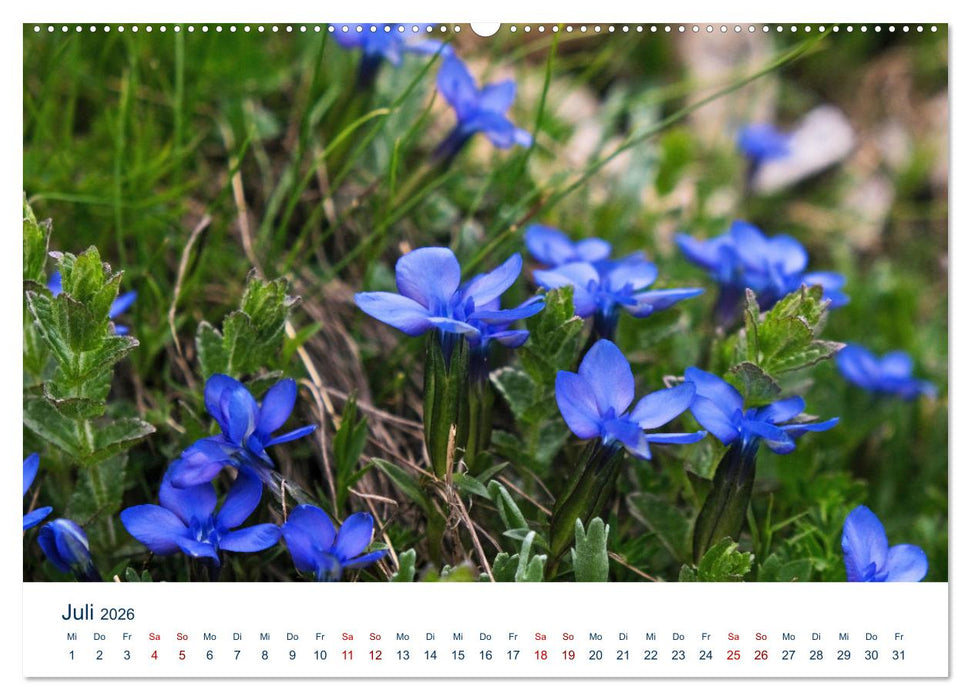 Die Dolomiten - Wanderung durch den Naturpark Schlern-Rosengarten (CALVENDO Premium Wandkalender 2026)