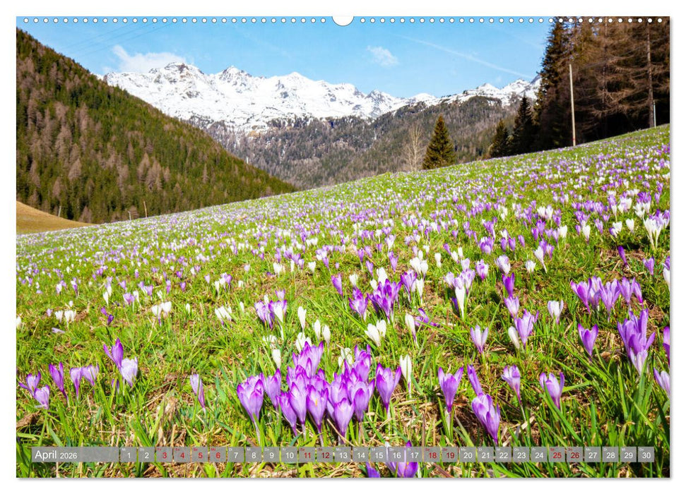 Erlebnis Ultental (CALVENDO Wandkalender 2026)