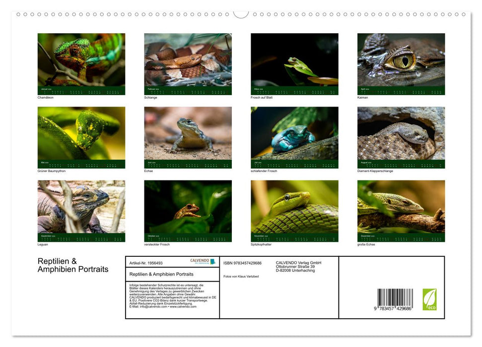 Reptilien & Amphibien Portraits (CALVENDO Premium Wandkalender 2026)